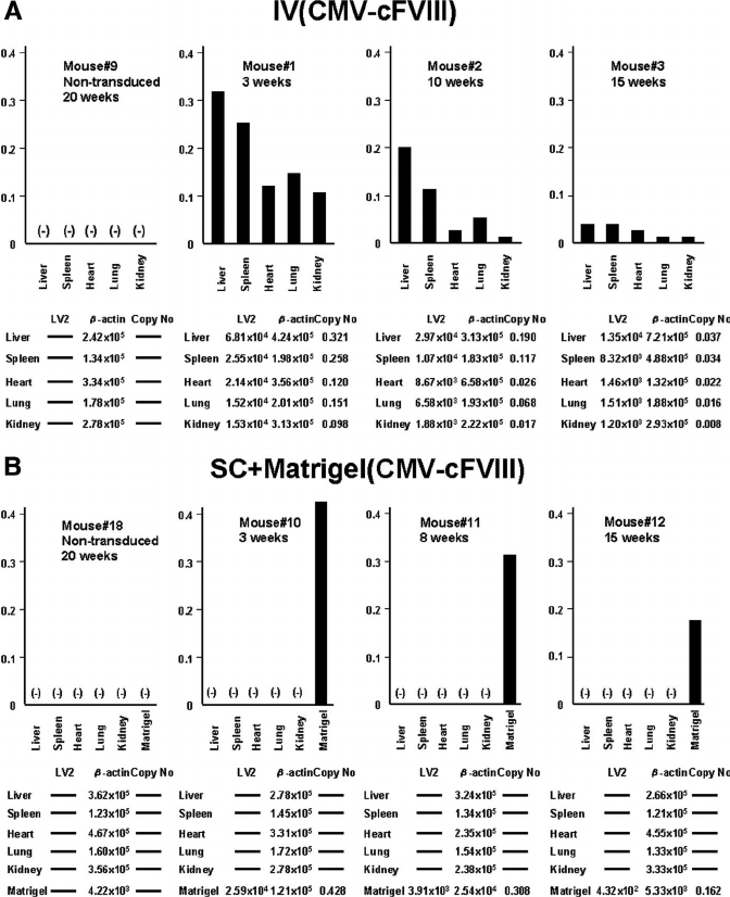 672x826 Integrated Lentiviral Vector Copy Numbers In Nodscid Mouse Organs