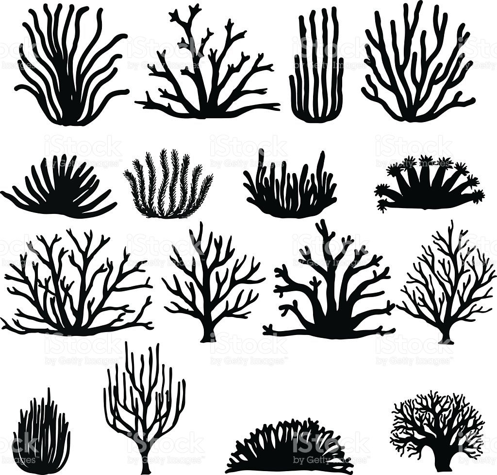 1024x977 Hand Drawn Corals Isolated On White Silhouette Icons Quilt