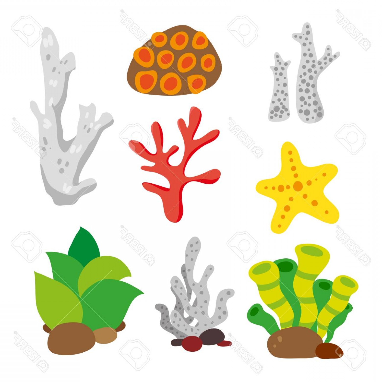 Vector Coral at Vectorified.com | Collection of Vector Coral free for