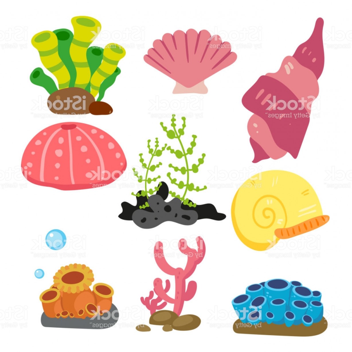 1228x1228 Coral Vector Collection Design Gm Cqrecords