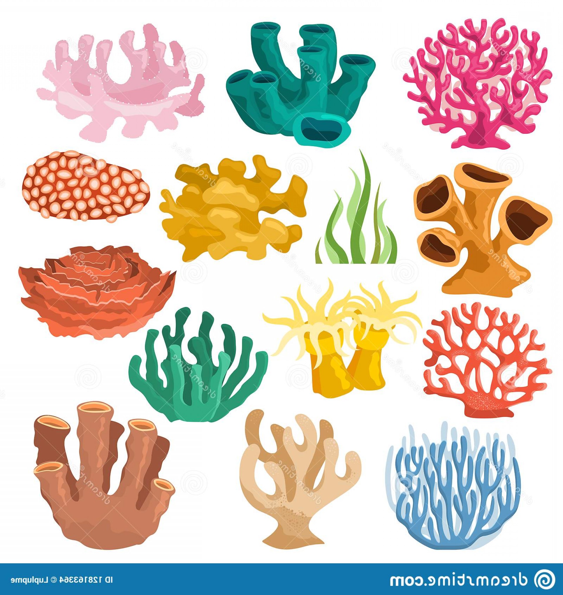 1920x2028 Coral Vector Sea Coralline Exotic Cooralreef Undersea Illustration