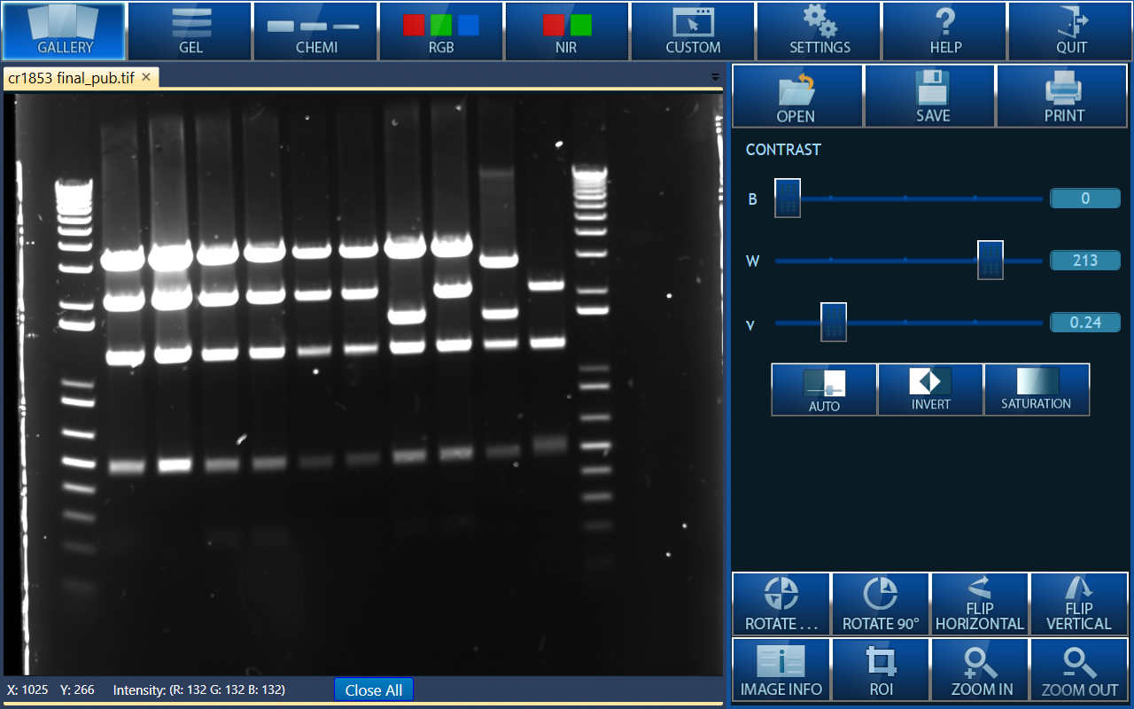 1280x800 National Institute On Drug Abuse Intramural Research Program