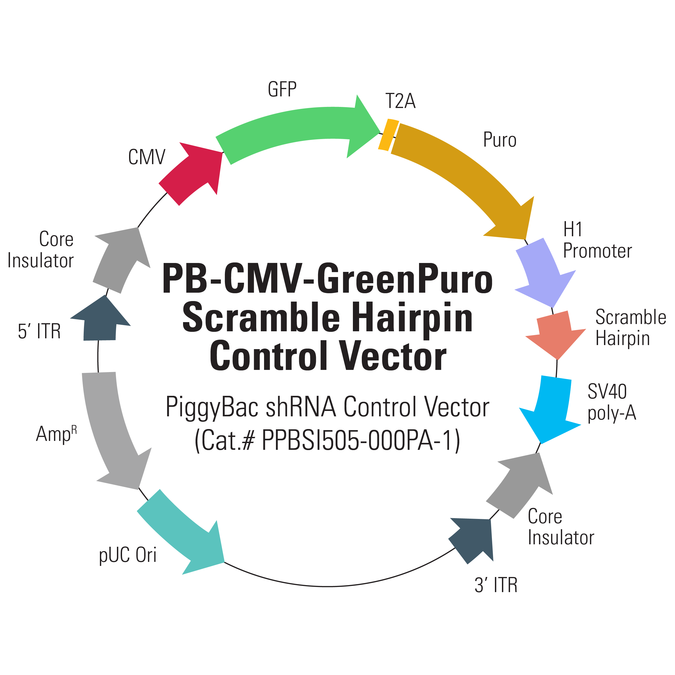 675x675 Pb Cmv Greenpuro Scramble Hairpin Control Vector System Biosciences