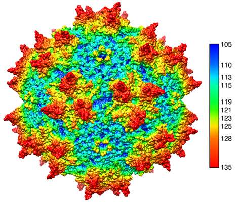 474x400 Powell Gene Therapy Center College Of Medicine University