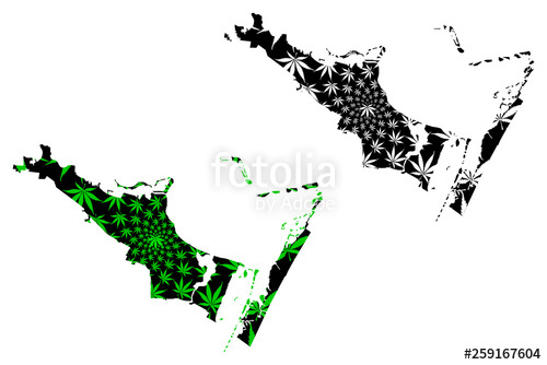 500x334 Corpus Christi City