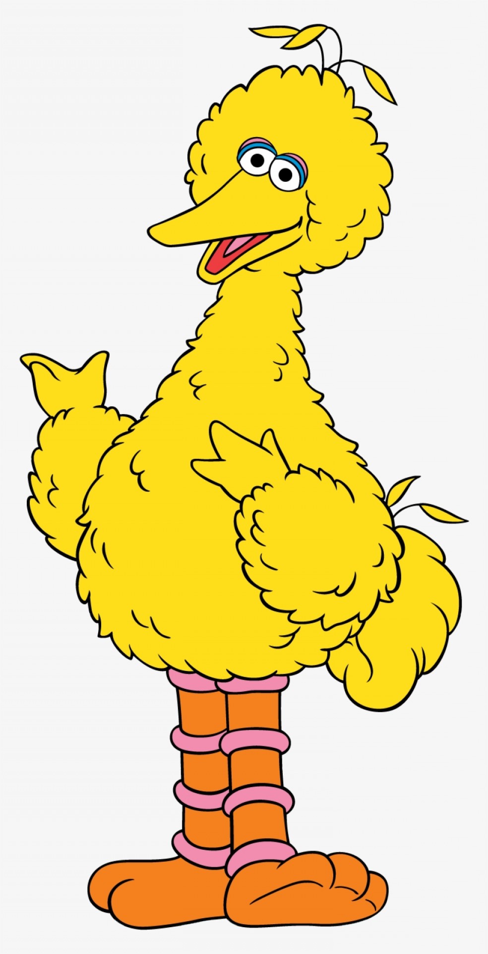 984x1921 Sesame Street Count Vector Handandbeak