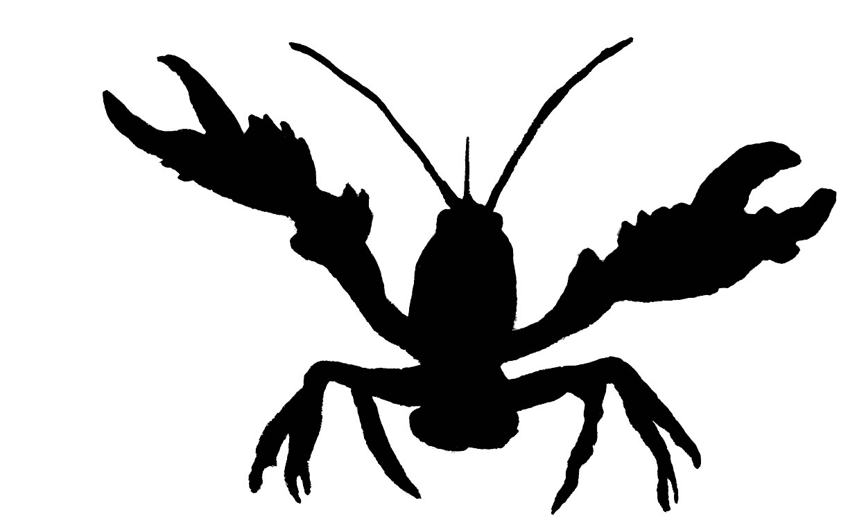 Crawfish Vector Art 1223x755 Crawfish Vector Art