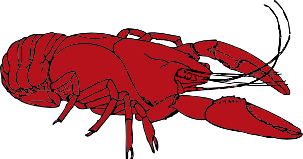 Crayfish Clip Art 600x315 Crayfish Clip Art