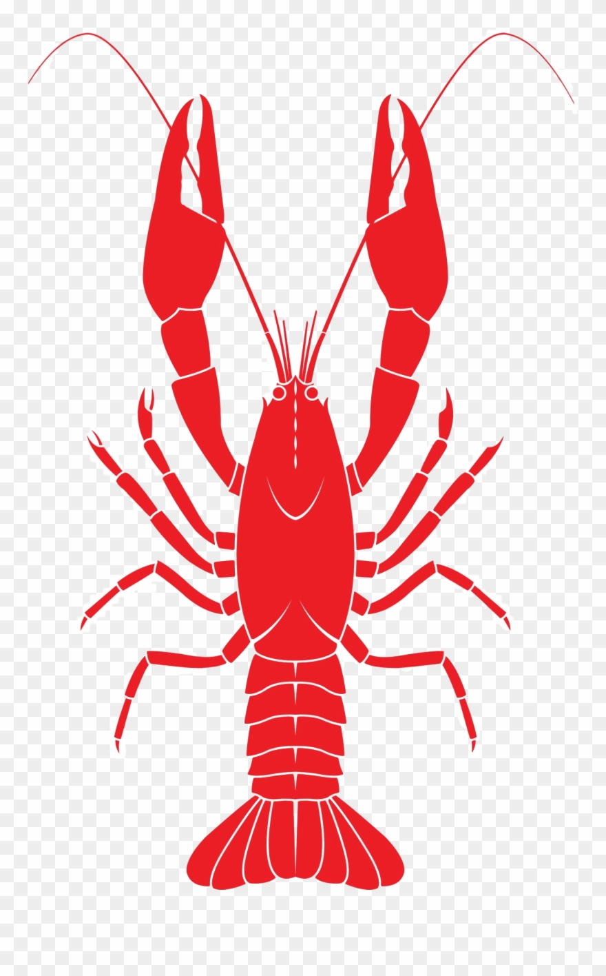 Lobster For Taiapure 880x1416 Lobster For Taiapure