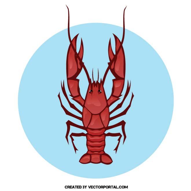 Crayfish Vector Image 660x660 Crayfish Vector Image