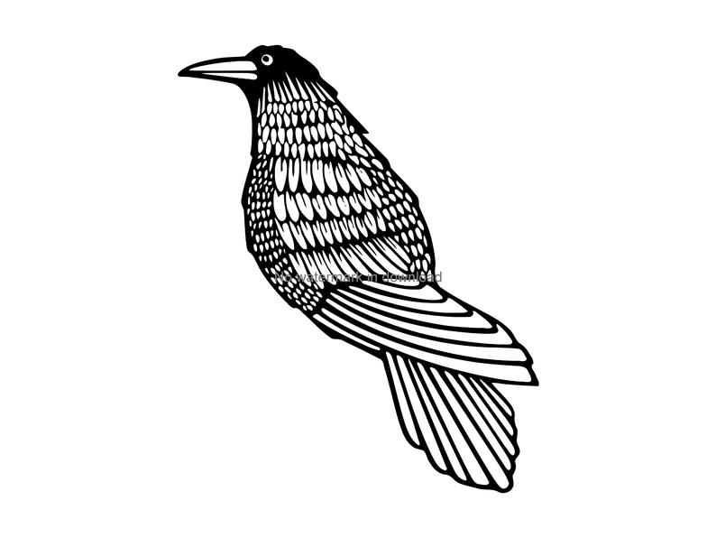 794x596 Crow Clipart Image Crow Vector Crow Cutting Etsy