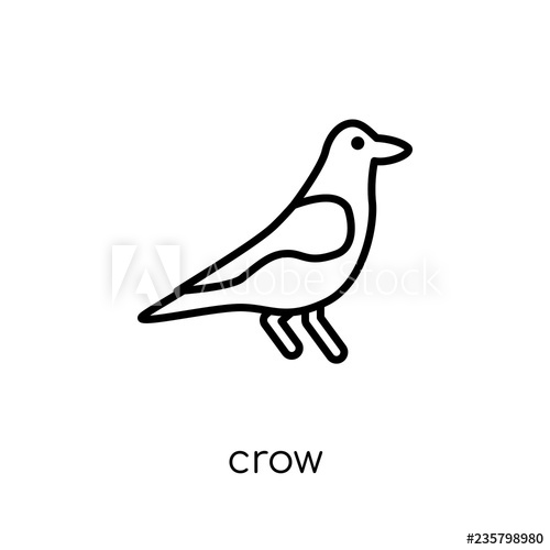 500x500 Crow Icon Trendy Modern Flat Linear Vector Crow Icon On White
