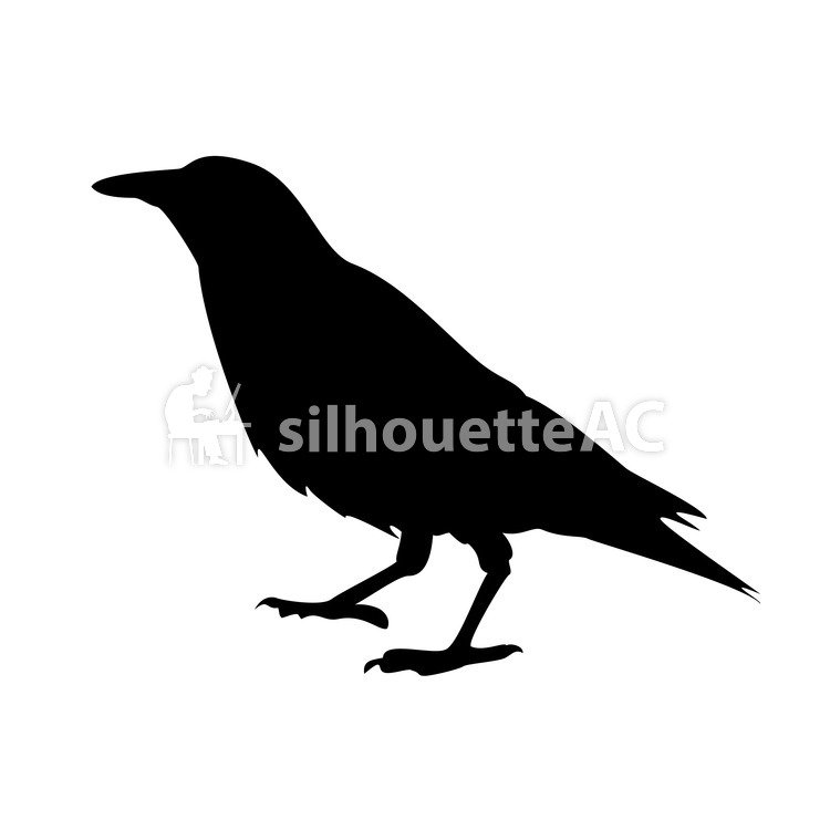 750x750 Free Silhouette Vector Crow Icon