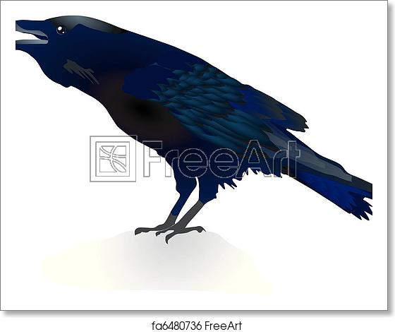 560x470 Free Art Print Of Vector Crow Vector Image Of A Crow Freeart