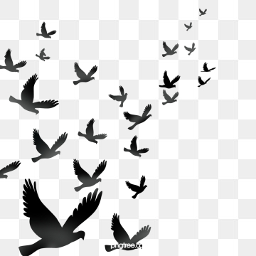 360x360 Crow Png, Vector, And Clipart With Transparent Background