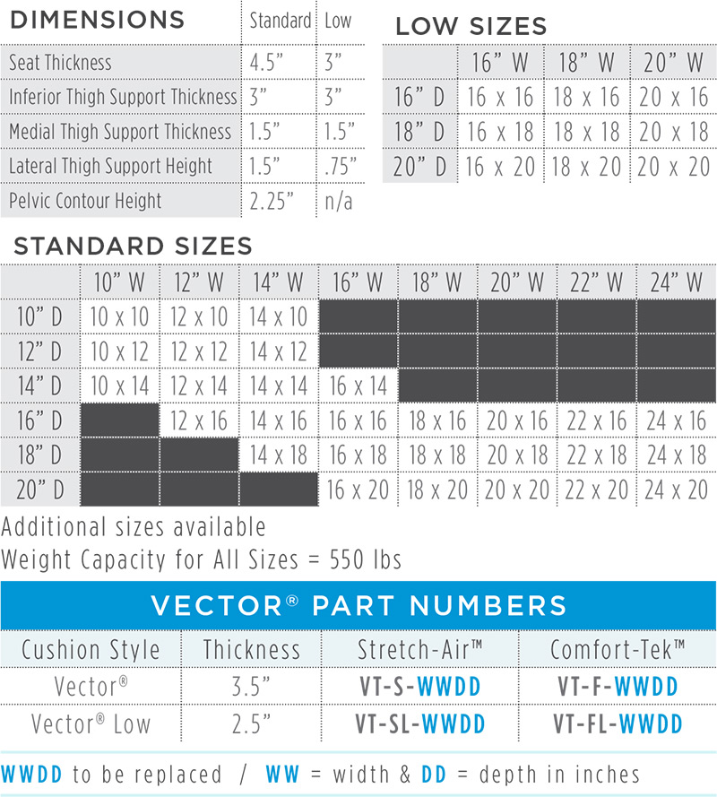 Vector 800x889 Vector