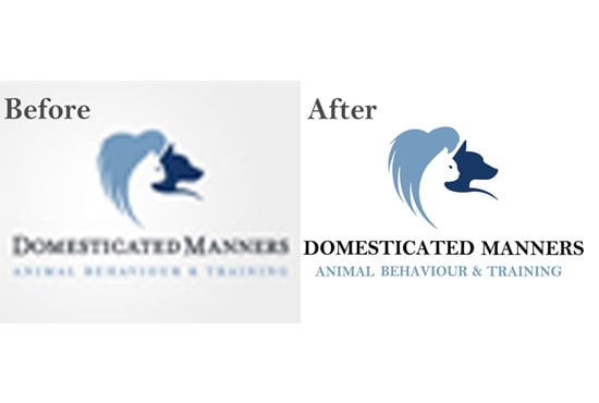 550x370 Convert Raster To Vector Logo, Customization