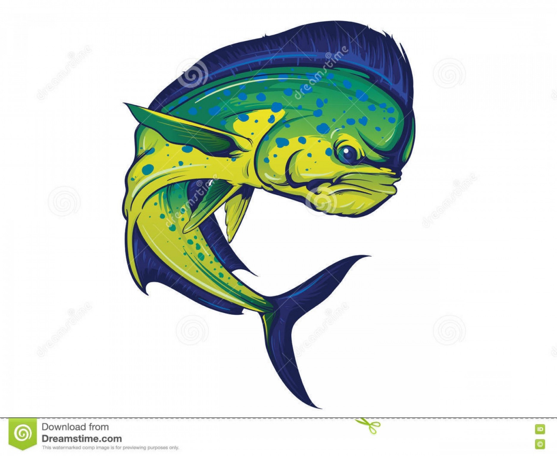 1872x1533 Stock Illustration Turning Mahi Mahi Fish Vector Illustration Full