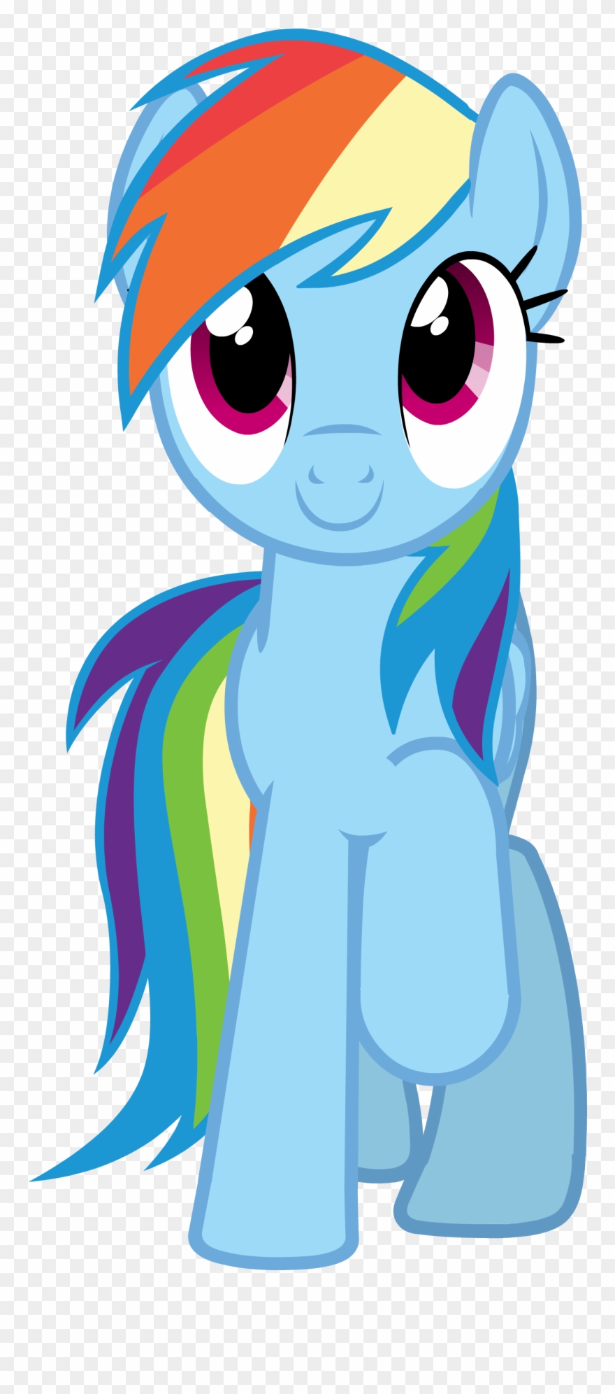 880x1993 Library Rainbow Dash Vector