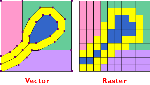 Vector Data