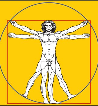 324x350 Free Download Of Leonardo Da Vinci Vector Vector Graphic