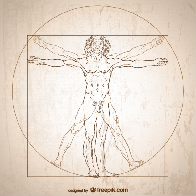 626x626 Vitruvian Man Vector Vector Free Download