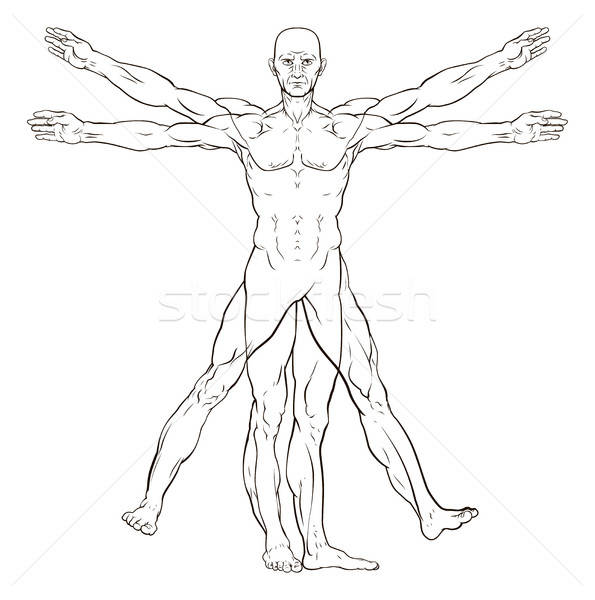 595x600 Da Vinci Style Vitruvian Man Vector Illustration Christos