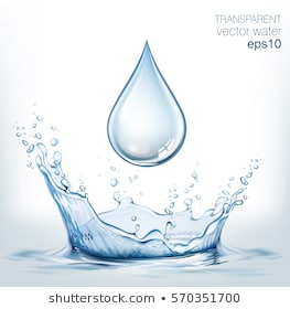 263x280 Beautiul Transparent Background