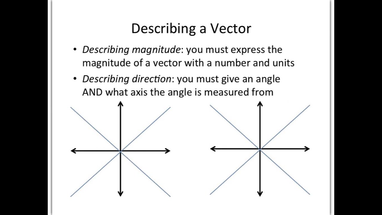 Vector Definition at Vectorified.com | Collection of Vector Definition
