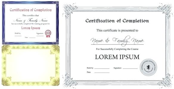 584x298 Certificate Template Vector Training Ppt Strand Definition Biology