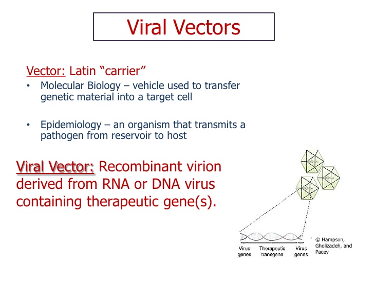Vector Definition Biology at Vectorified.com | Collection of Vector