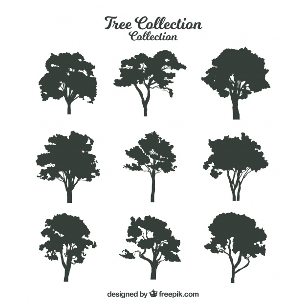626x626 Tree Silhouette Vectors, Photos And Free Download