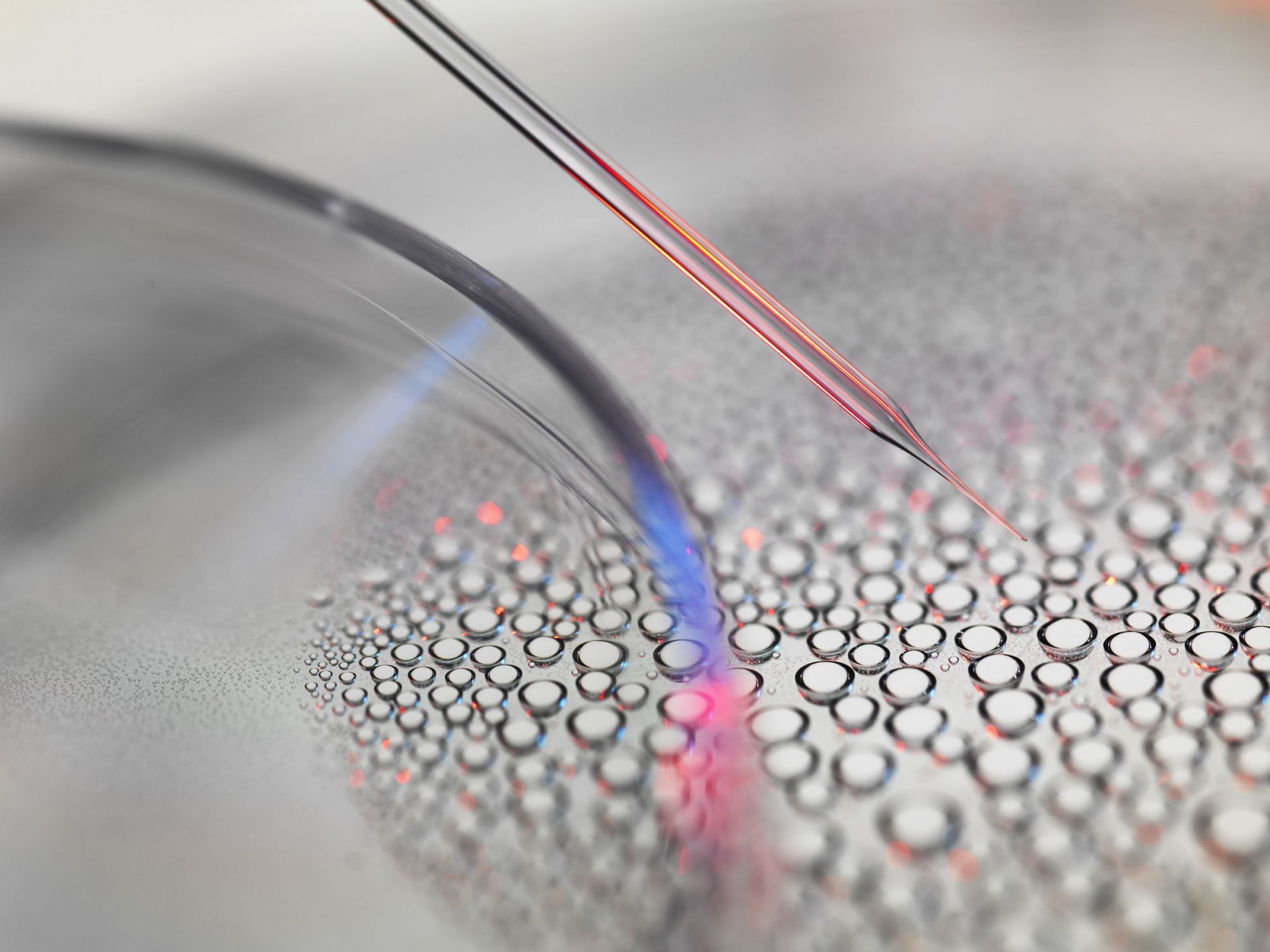 2400x1800 Gene Vector Inserted Into Host Cell Lamaison