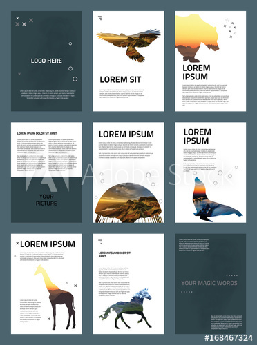 372x500 The Minimalistic Animal Vector Illustration Of Editable Layout