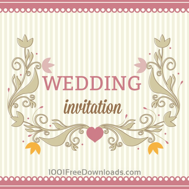 800x800 Free Vectors