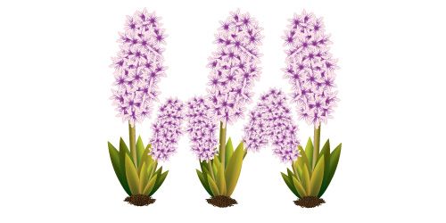 Illustrator Tutorial Vector Flower Plant Vector Diary 500x250 Illustrator Tutorial Vector Flower Plant Vector Diary