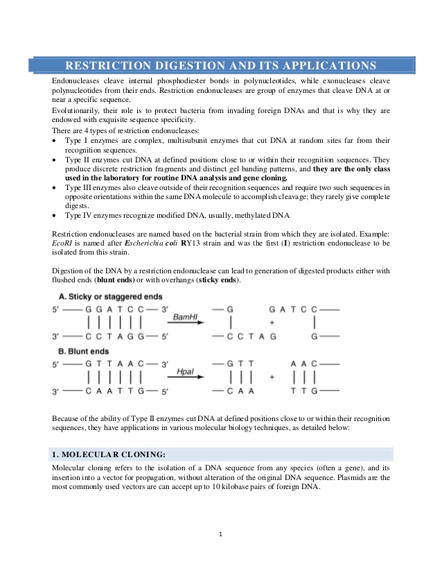638x826 Restriction Digestion And Its Applications