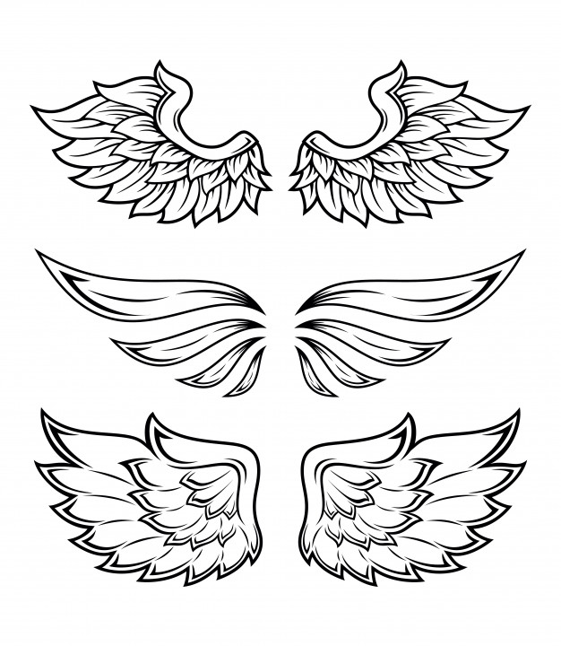 626x720 Dingbats Vectors, Photos And Free Download