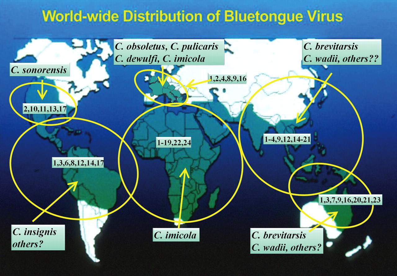 1280x889 Challenges In Predicting Climate And Environmental Effects