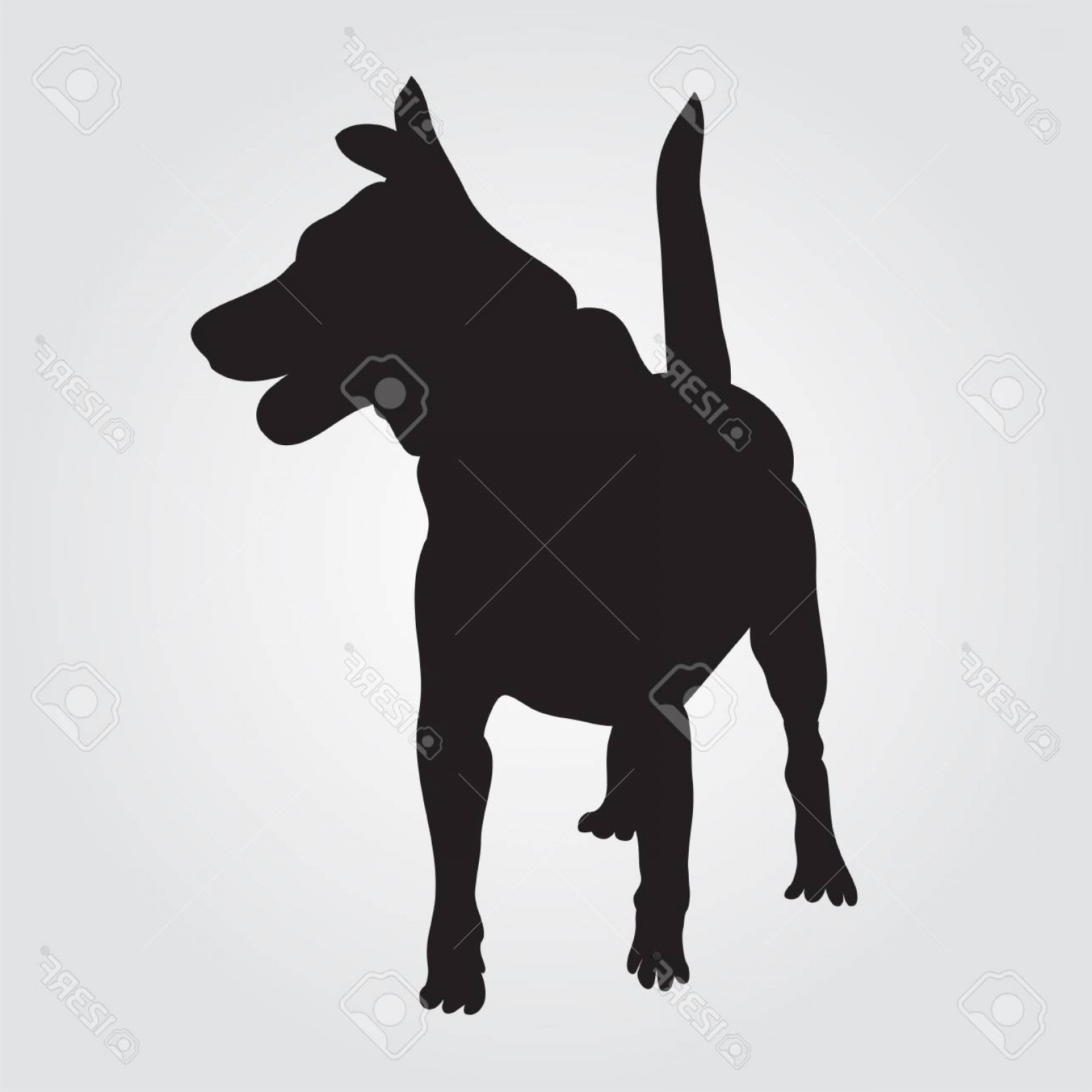 1560x1560 Photostock Vector Dog Sign Icon Pets Symbol Solid Black Dog