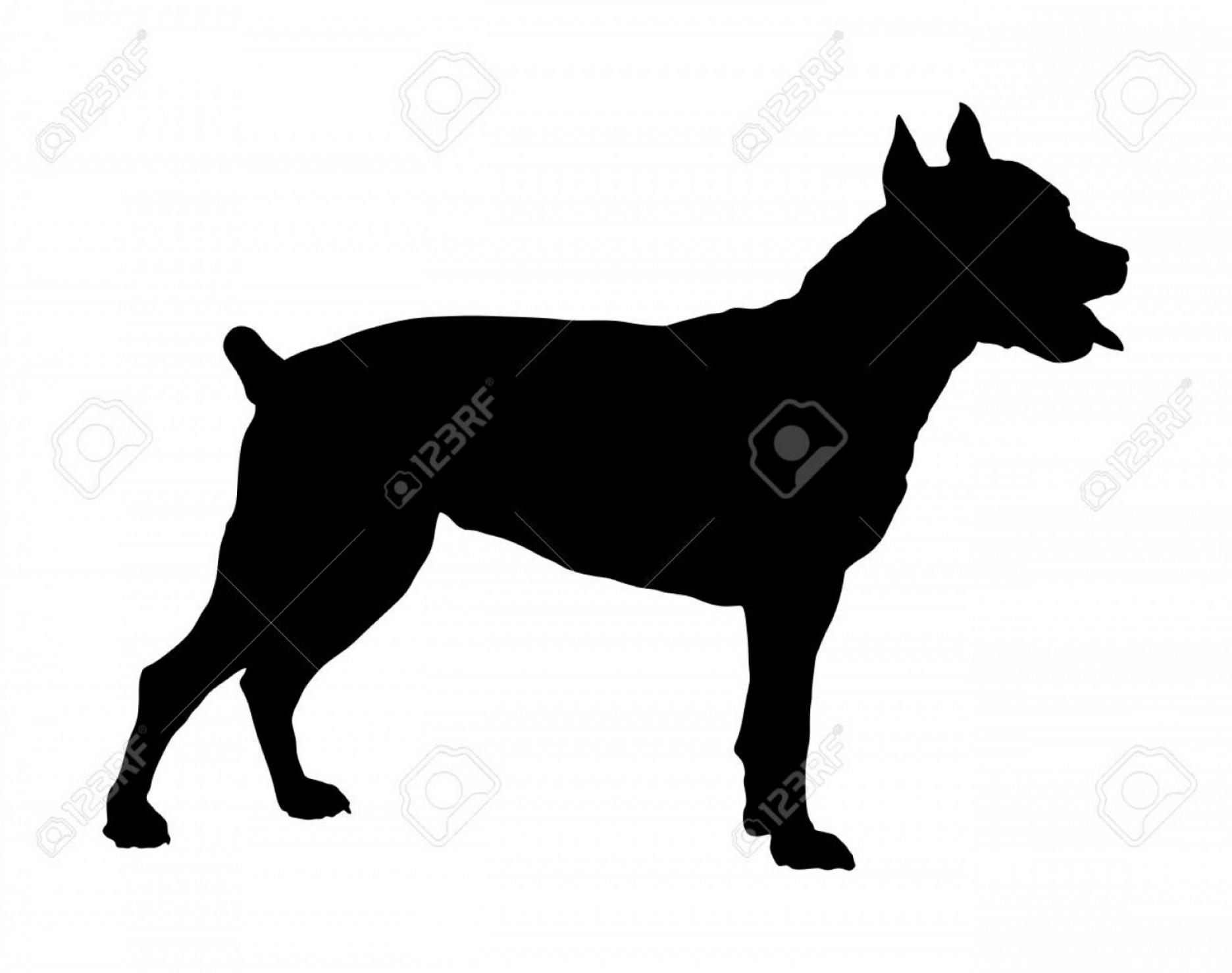 1872x1479 Pitbull Vector Dog Catamart