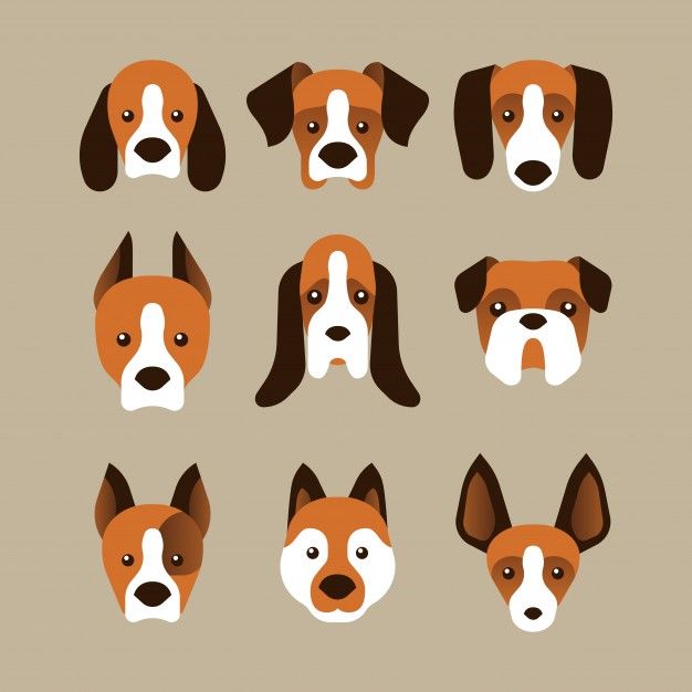 Vector Dog Face