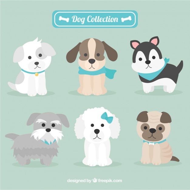 626x626 Dog Vectors, Photos And Free Download