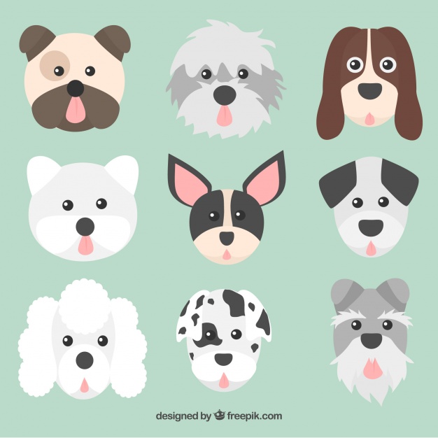 626x626 Faces Collection Dogs Of Different Races Vector Free Download