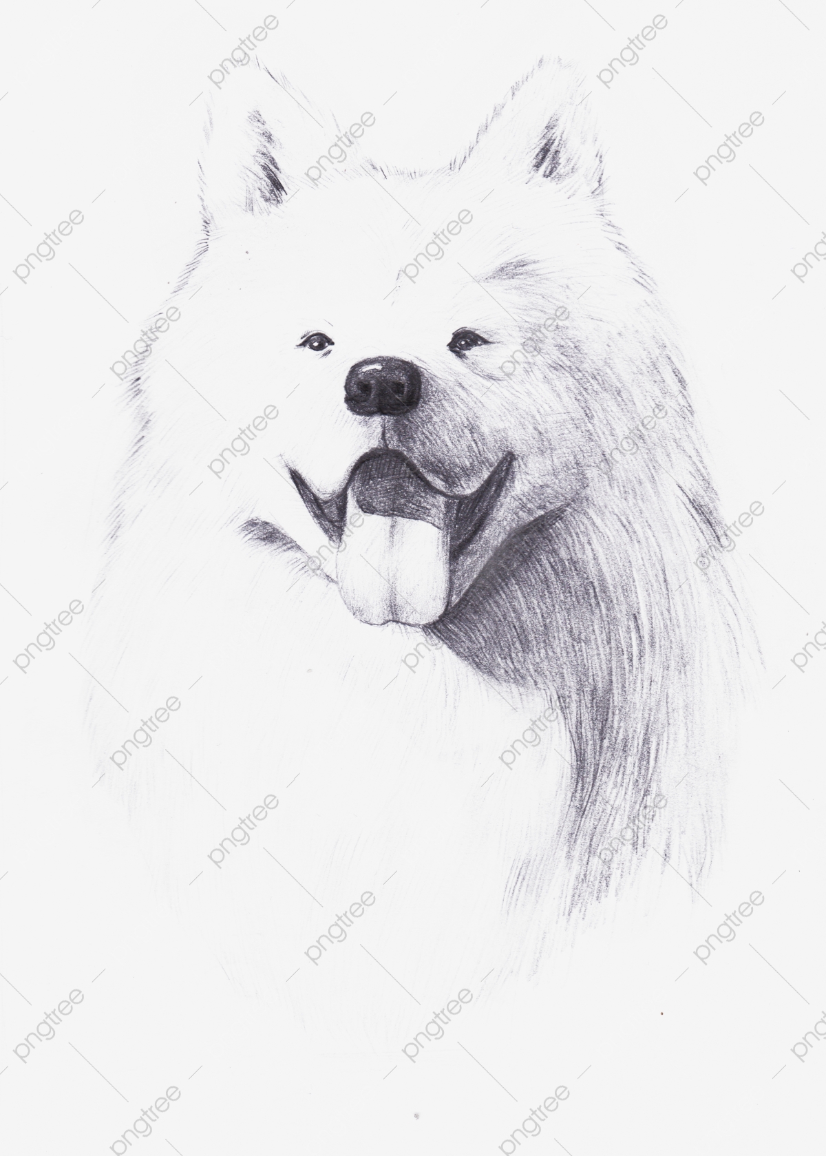 1200x1679 Sketch Dog Face Download, Sketch Vector, Dog Vector, Face Vector