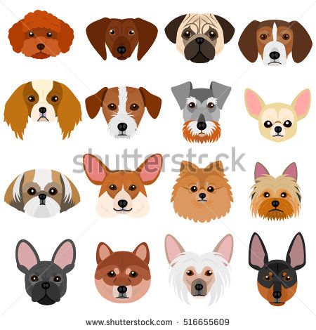 450x470 Small Dog Faces Set On White Background Stock Vector Illustration