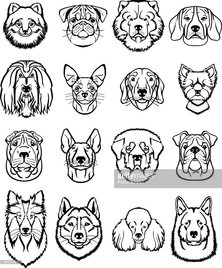 847x1024 Vector Art Vector Dogs Black Icons Set Illustration Art