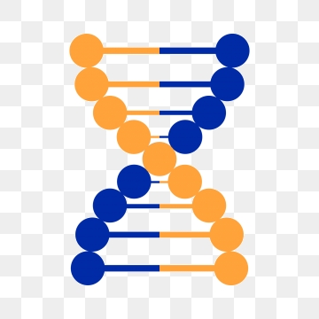 360x360 Double Helix Png, Vector, And Clipart With Transparent