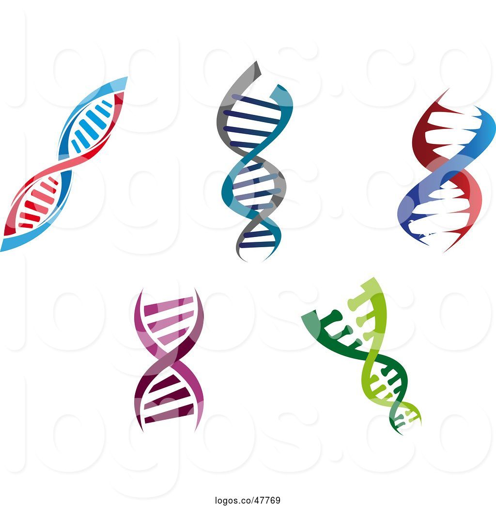 Vector Double Helix at Vectorified.com | Collection of Vector Double ...