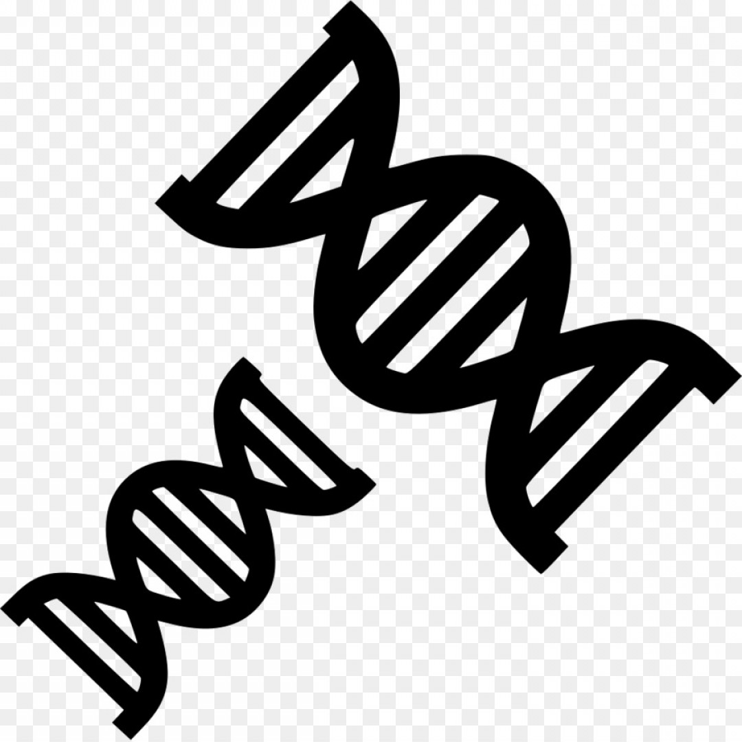 1080x1080 Png Dna Nucleic Acid Double Helix Vector Clip Art Gene Catchsplace